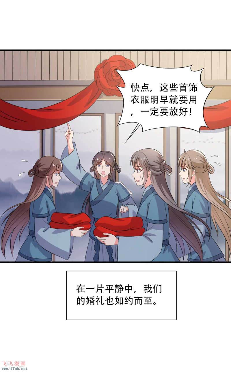 第93话 成亲的准备17
